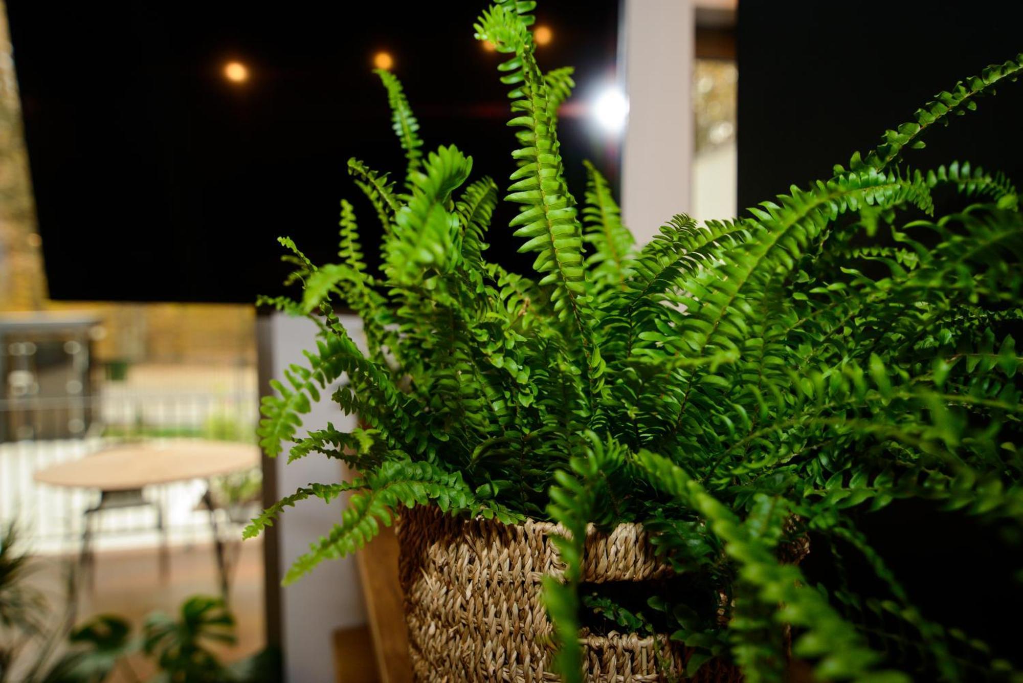 Forest Boutique Pitesti Exterior photo
