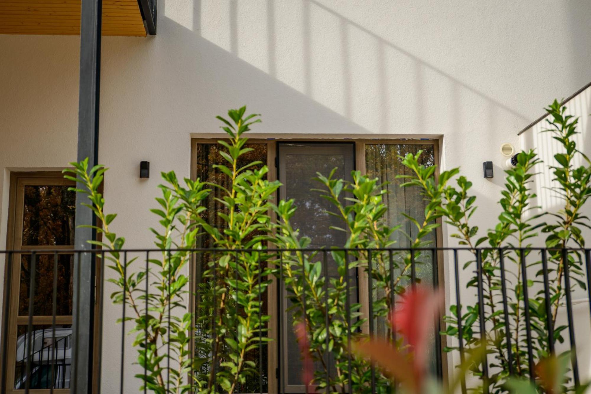 Forest Boutique Pitesti Exterior photo